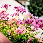 Dora Holiday House Keszthely