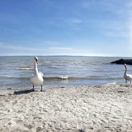 Dora Holiday House Apartment