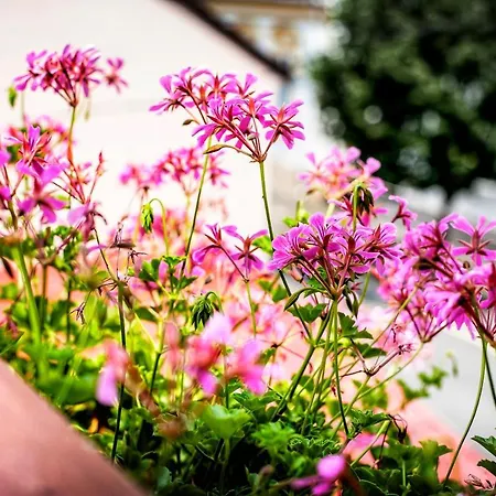 Dora House & -sauna & Relax By The Keszthely