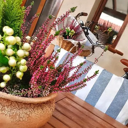 Lejlighed Dora House & -sauna & Relax By The