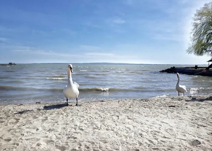 Dora Holiday House Апартаменты