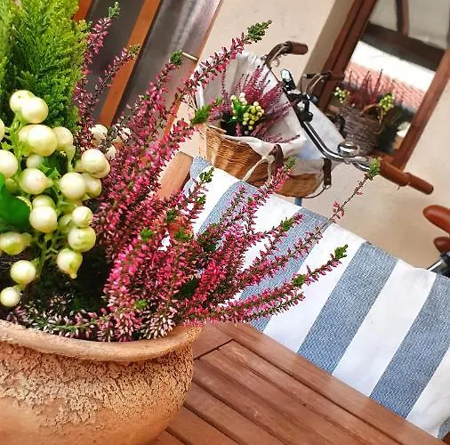 Апартаменты Dora Holiday House